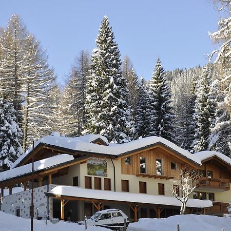 Casa Del Roccolo Daire Folgarida Dış mekan fotoğraf